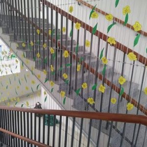 LƯỚI AN TOÀN HÒA PHÁT STAR